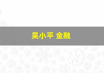 吴小平 金融